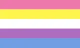 A flag of horizontal stripes, from top to bottom: pink, yellow, white, purple and blue.