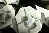  Folded paper lilies floating in water. “Peace is the future” is written in the centre of one lily.