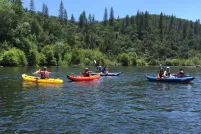 Kayakers paddling colourful kayaks (yellow, orange and blue) on a calm river, with a forested hillside of pine and oak trees under a clear blue sky in the background.