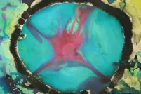 Artwork featuring a large turquoise oval shape outlined in black with a red, branching form spreading across the centre. The background blends yellow and green tones with scattered organic shapes and splashes of black around the edge.