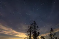 A starlit night sky over a dark rolling hillside, with the silhouettes of bare, windswept trees and a cluster of evergreens in the foreground. Faint golden cloud bands and a glow from distant lights line the horizon, while a thin pink streak (likely a meteor) crosses the sky on the right.