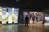 A wide shot of a Museum gallery. On the left side are three vertical panels showing a photo of a white tents and people displaced. On the right side of the image, a visitor is standing in front of an exhibit wall reading the text. 