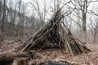 A traditional Indigenous structure, commonly called a tipi, made of sticks sits on a leaf-strewn forest floor, surrounded by cut logs.