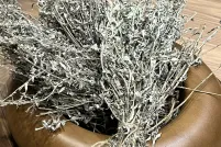 A bundle of sage, tied at the stalk, sits in a small wooden bowl.