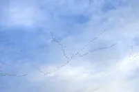 A flock of geese fly in unison against a brilliant blue sky.