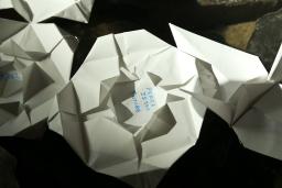 Folded paper lilies floating in water. “Peace is the future” is written in the centre of one lily.