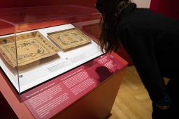 A woman leans forward to look at a large glass display case containing two rectangular objects. 