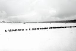A black-and-white photo of a flat, snowy landscape with trees and small buildings in the distance. A long, straight line of more than 100 people are walking through snow.