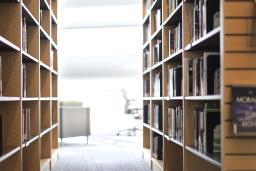 Brightly lit bookshelves.