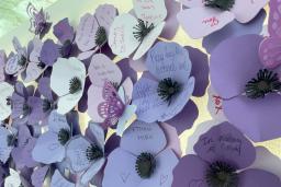 Purple poppies made of paper with names and messages from community members and family of those who have died as a result of a poisoned drug supply.