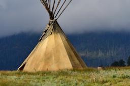 A large tipi sits in a field of grass. Its poles rise into a misty sky.