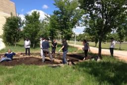 Seven men and women work in a garden on a sunny day. The garden is circular and has very few plants in it. Around the garden are tall grass, trees, a walking path and a sidewalk. In the background, part of the Museum’s stone structure can be seen.