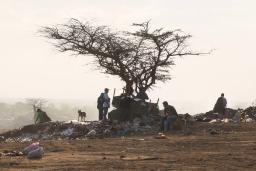 Several people and one dog sitting and standing in a landfill. A tree sits in the centre of the image and garbage is strewn on the ground.