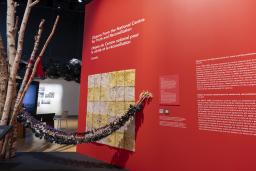 A museum exhibit featuring many traditional Indigenous medicine bags hanging from a baby swing. One end of the swing is attached to birch tree trunks and the other to a red wall that includes text panels.