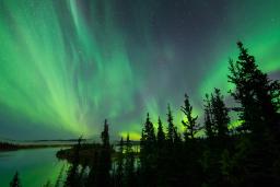 The night sky is lit up green, yellow and blue with Northern lights. There are large, tall trees on the right-hand side of the image and a lake to the left. 