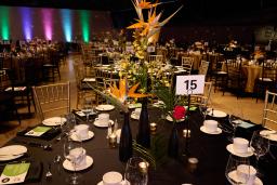 A large hall is set up for a gala with colourful lights shining on the walls and tables decorated with black tablecloths, tropical floral centrepieces and dinnerware.