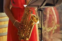A female musician dressed in a red, sleeveless dress is playing a gold saxophone.