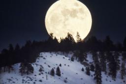 The large full moon rises over a snowy hill covered in pine trees.