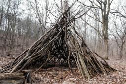 A traditional Indigenous structure, commonly called a tipi, made of sticks sits on a leaf-strewn forest floor, surrounded by cut logs.