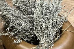 A bundle of sage, tied at the stalk, sits in a small wooden bowl.