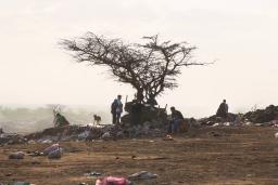 Several people and one dog sitting and standing in a landfill. A tree sits in the centre of the image and garbage is strewn on the ground.
