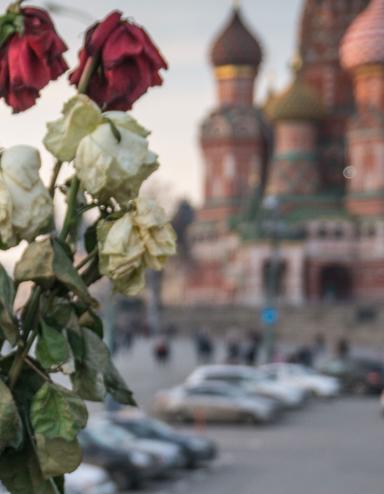 Des roses rouges et blanches fanées dans un vase. En arrière-plan, on voit la cathédrale Saint-Basile sur la place Rouge, à Moscou, avec ses multiples coupoles et dômes, qui rappellent un feu de camp montant vers le ciel. Partially obscured.