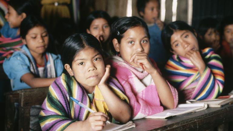 Children sit in a classroom with booklets in front of them on their desk. Three girls sitting close to the camera are looking directly into the camera. 