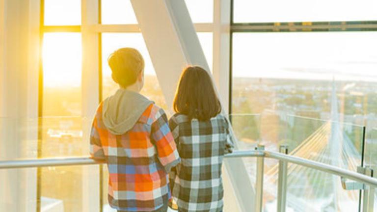 Two young children stand in a tower with their backs toward the camera as they stare out at a horizon overlooking a cityscape. Partially obscured.