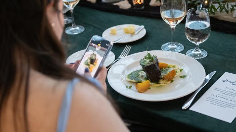 A woman with light skin and long, dark brown hair is using her cell phone to take a photo of a plate of gourmet food on a table. Partially obscured.