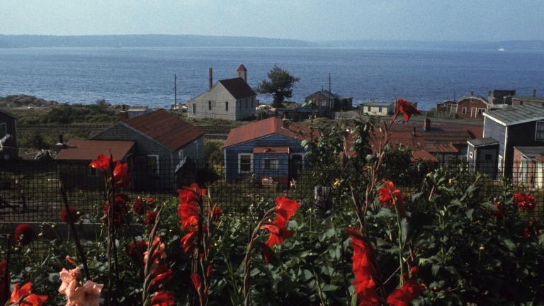 A group of wooden houses next to a large body of water with red flowers in the foreground. Partially obscured.