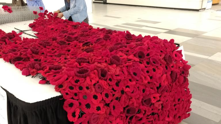 Two people are working at a table full of poppies. Partially obscured.