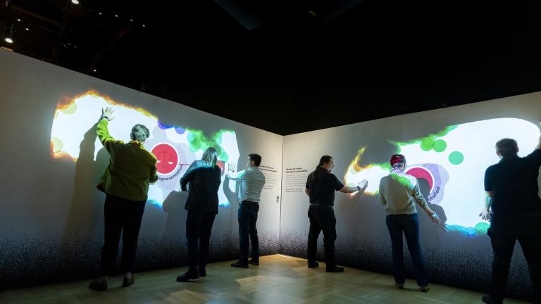 A group of people wave their arms in front of a darkened wall. Colours, shapes, and words appear on the wall where their hands are.