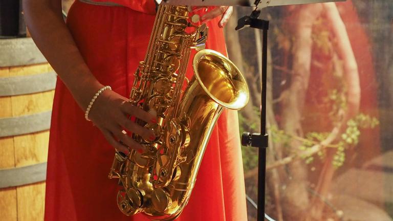 A female musician dressed in a red, sleeveless dress is playing a gold saxophone. Partially obscured.