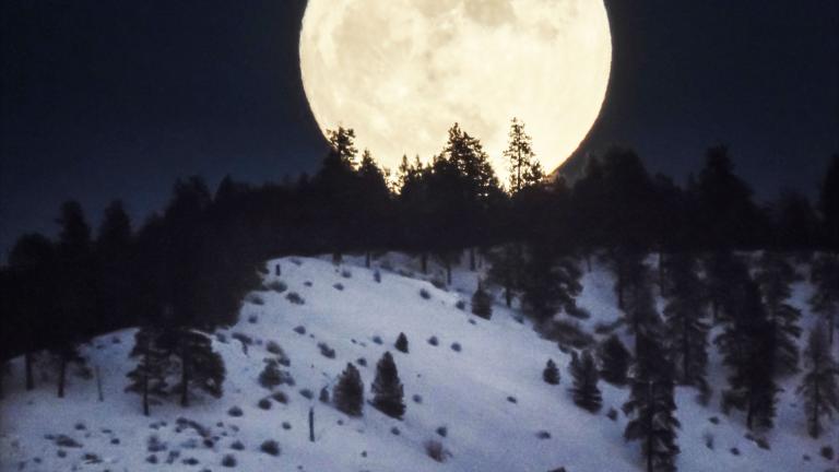 The large full moon rises over a snowy hill covered in pine trees. Partially obscured.