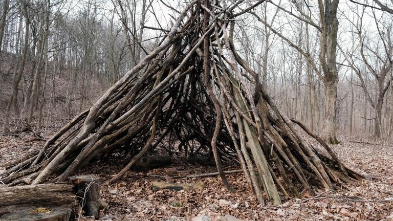 A traditional Indigenous structure, commonly called a tipi, made of sticks sits on a leaf-strewn forest floor, surrounded by cut logs. Partially obscured.