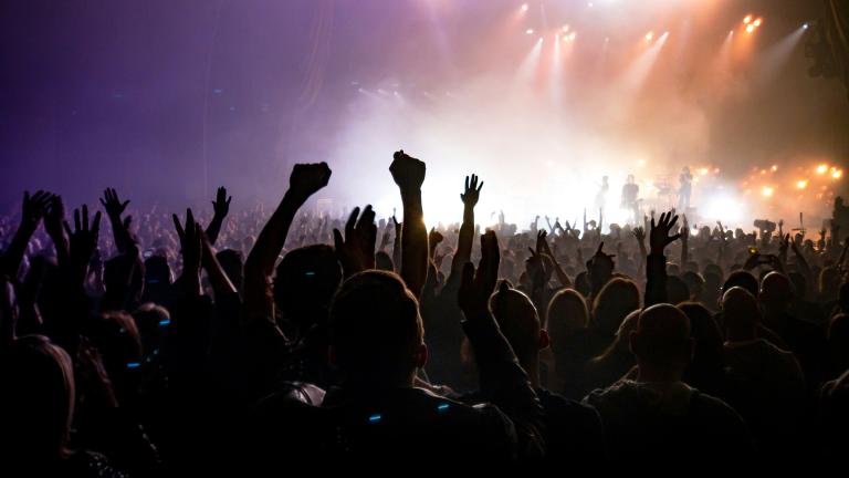 Concert-goers raise their hands in collective jubilation as a band plays on a brightly lit stage. Partially obscured.