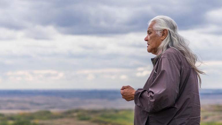A person with long grey hair stands outdoors, with a rolling grassy landscape and cloudy sky in the distance. Partially obscured.