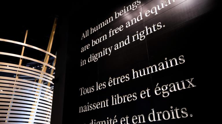 Large white text on a black wall reading "All human beings are born free and equal in dignity and rights."