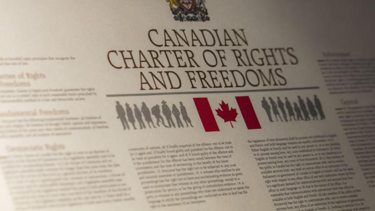 A close up of the Canadian Charte of Rights and Freedoms Partially obscured.