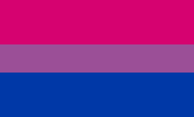 A flag of horizontal stripes: a narrow purple stripe in the centre, a wide magenta stripe above and a wide dark blue stripe below.