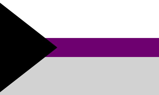 A flag with a large black equilateral triangle on the left side, apex pointing to the right. A narrow dark purple horizontal stripe divides the rest of the flag, with a wide white area above it and light grey below.
