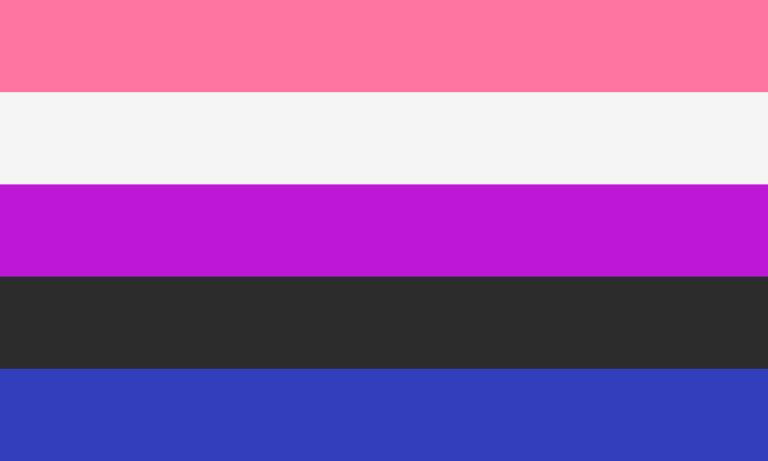 A flag of horizontal stripes, from top to bottom: pink, white, magenta, black and dark blue.