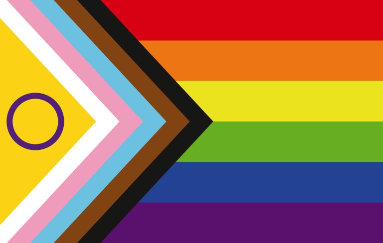 Flag consisting of rainbow-coloured horizontal stripes filling the right-hand two-thirds (from top to bottom: red, orange, yellow, green, blue and purple) and a right-angled set of stripes on the left side forming a triangular shape pointing right (from centre to edge: white, pink, light blue, brown and black). The triangular shape is filled with a yellow area containing a purple circle outline.