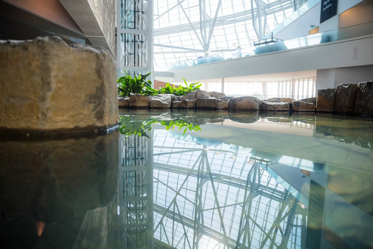The Stuart Clark Garden of Contemplation in the Museum