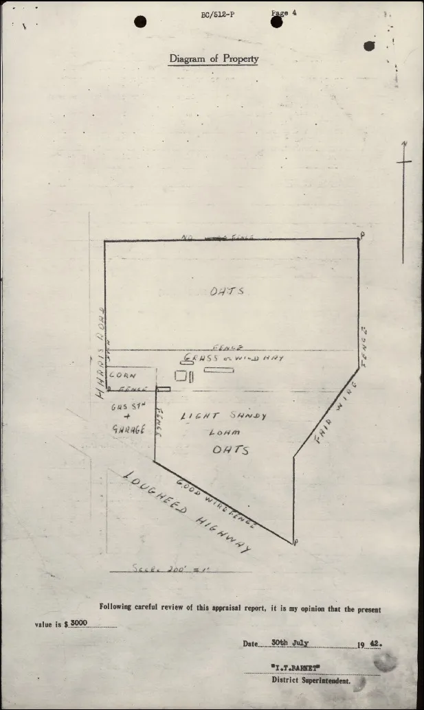 A hand-drawn map showing property boundaries, crops and buildings.