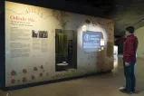 A man points to activate a video on the wall of a museum exhibit.