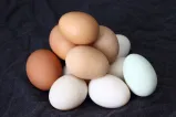 Farm fresh eggs are piled on a dark cloth. Some are white and some are different shades of brown. 