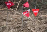 Small red triangular flags on metal rods are planted in the ground. On some of the flags are the words “Stop” and “Mine.”