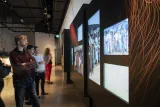 Several people looking at a display of colour digital photographs in a museum.