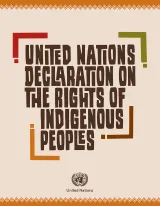 Cover page of the United Nations Declaration on the Rights of Indigenous Peoples showing the title in a stylized font and partially enclosed by green, red, brown and orange corner designs. Also on the page is the UN logo bottom center.
